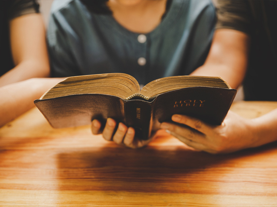 Leviticus 19-28 and Other Scriptures