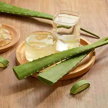 Aloevera
