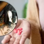 Can I take ibuprofen before a tattoo