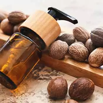 Shea nut oil