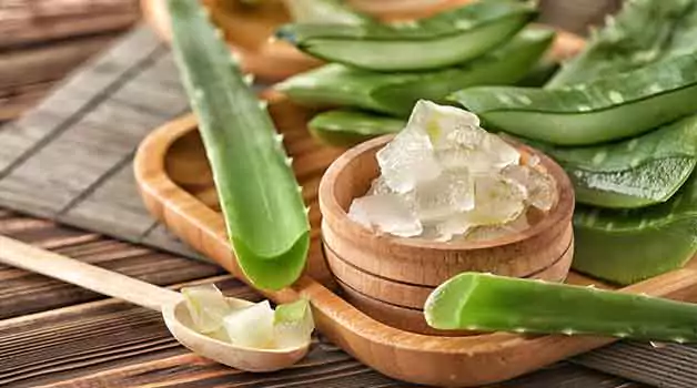 Aloe Vera Definition & applicability to tattoos