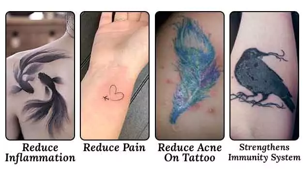 Benefits of using aloe Vera for tattoos