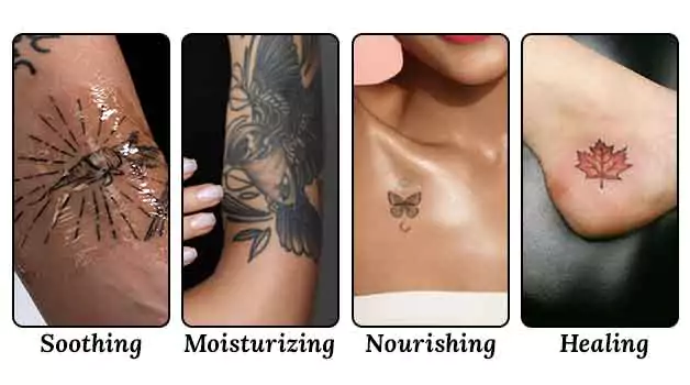 Benefits of using aloe Vera for tattoos
