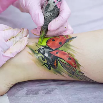 Complexity of the design