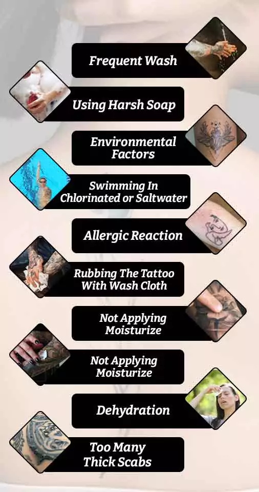 10 Reasons why your tattoo is so dry