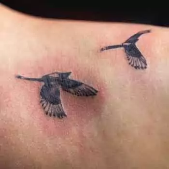 The significance of following aftercare instructions