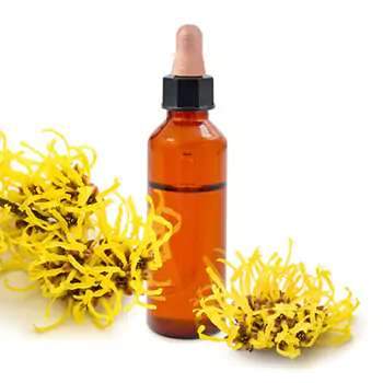 Witch-hazel