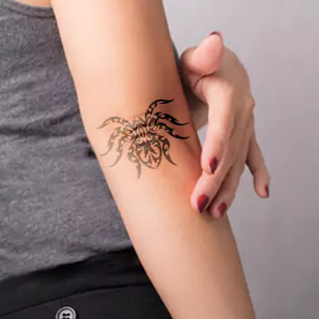 Native American spider woman symbolism