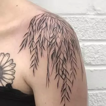 Weeping willow tree tattoo Shoulder