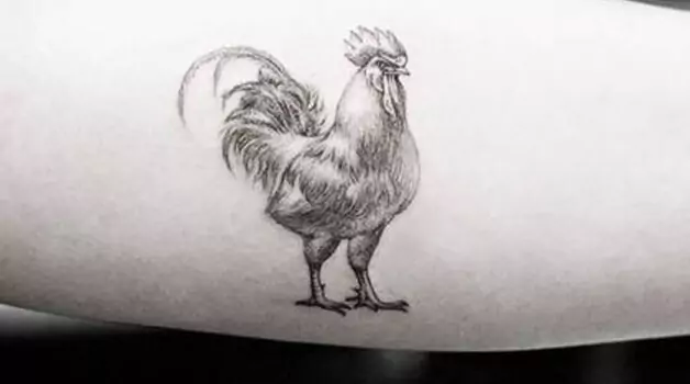 8 reasons to get a rooster tattoo
