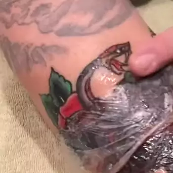 Apply oil on the tattoo