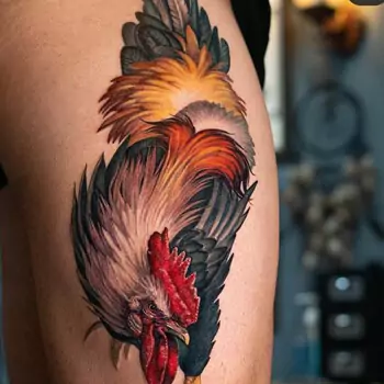 Realistic rooster portrait tattoo