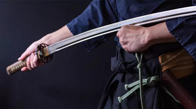 Samurai: Short briefing