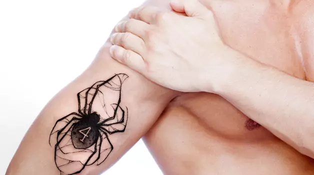 The Spider Tattoo A Sinister Insignia