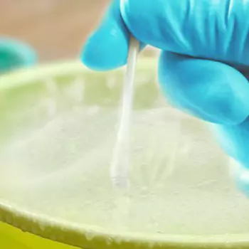 dip-one-end-of-the-q-tip-into-the-solution